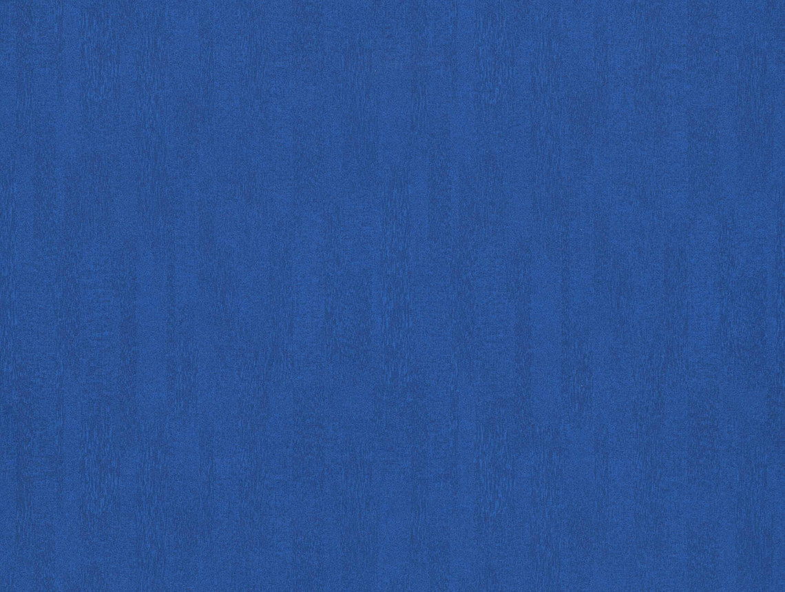 Flotex Colour у рулоні - s482026 Penang neptune